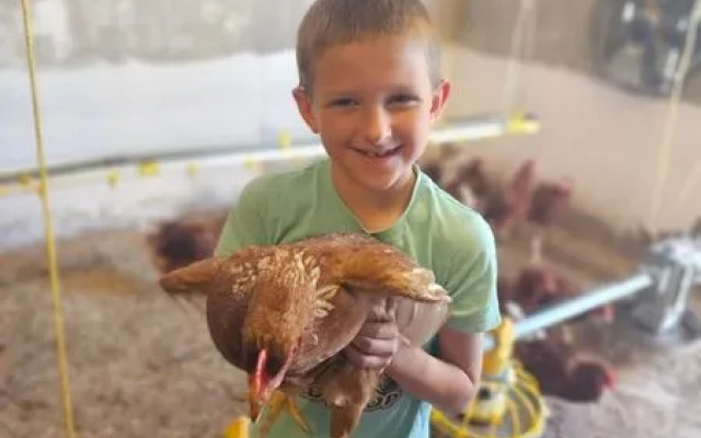 Ферма Лукино