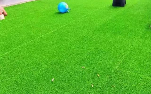 Leisure Pond-Childhood Joy Volley Lodge