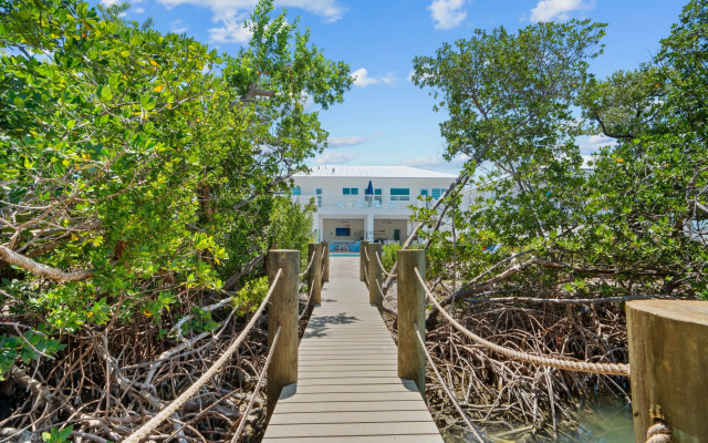 Paradise Point Pool Dock Lounges BBQ