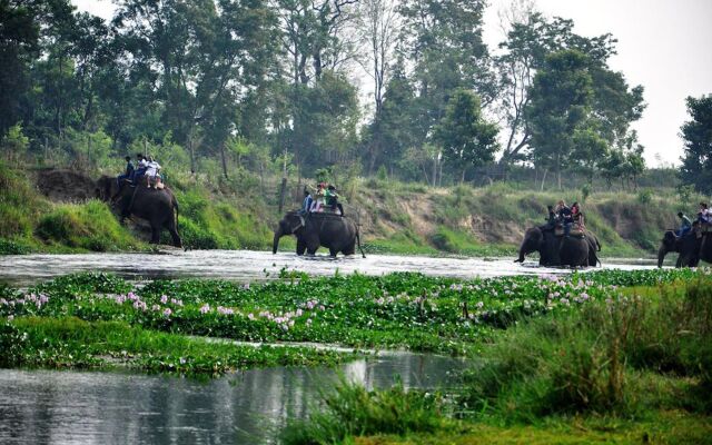 Chitwan Paradise Hotel