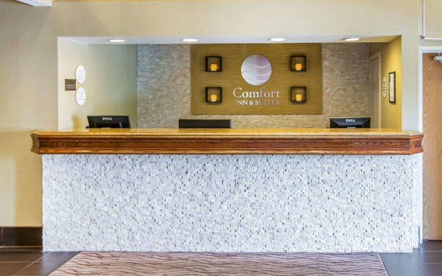 Comfort Inn & Suites near Tinley Park Amphitheater