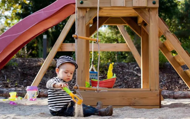 Domizil am Ostseewald - Seidelbast