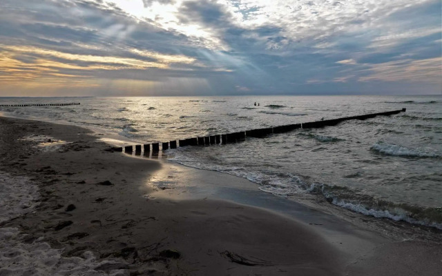 Ostsee Residenz Meeresblick Strandläufer