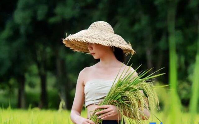 wushengJingyuan daizuyuan Branch)