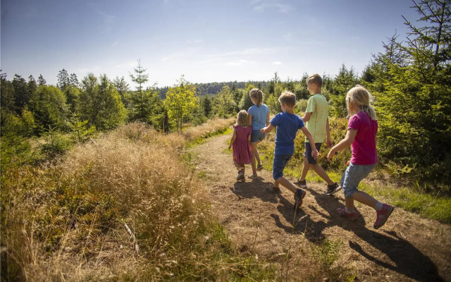 Mountain View Hotel Willingen, BW Signature Collection