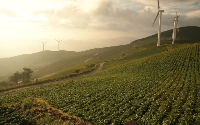 Bluemoon Guest House - Hostel