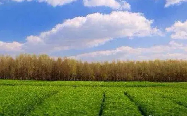 Mingyue.shineitaoyuan