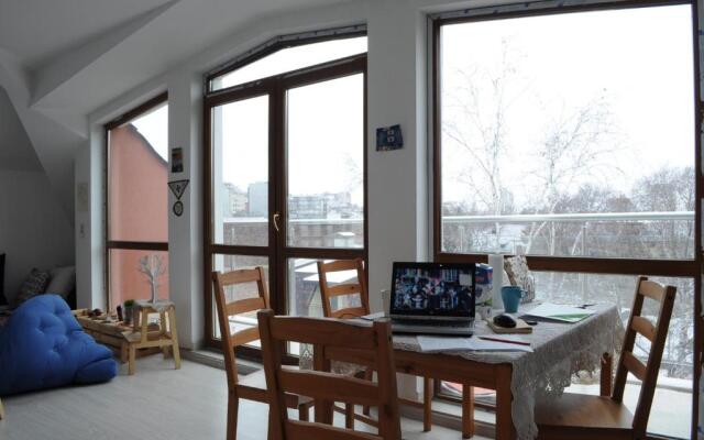 Bulhotel house with garden