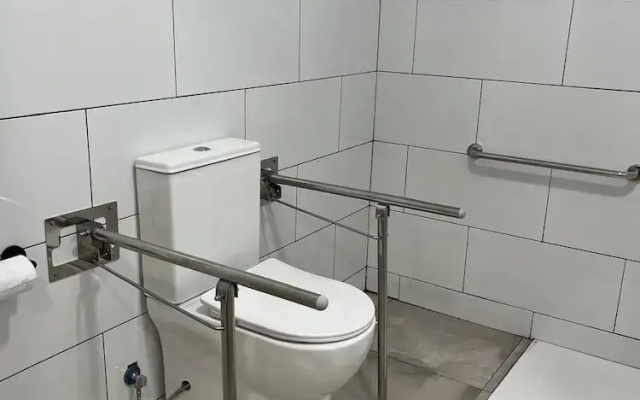 Golondrinas de Alicante.