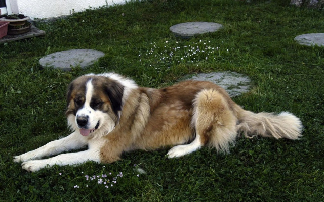 Chambres DHotes Au Vieux Logis
