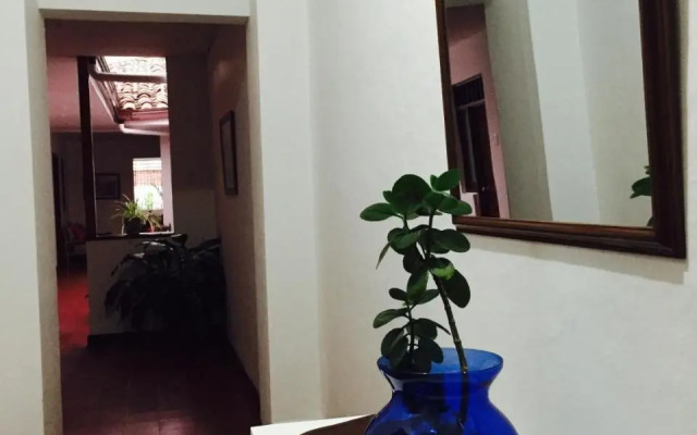 Hostel Helga