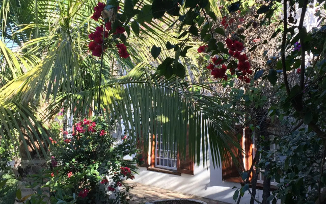 Wittedrift Manor House