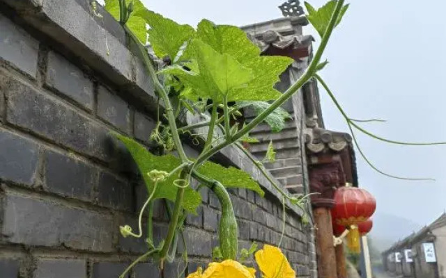 Badaling Xianting Courtyard