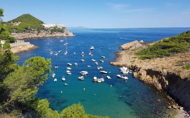 Mareva