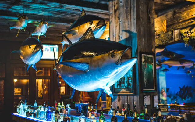 Big Cypress Lodge