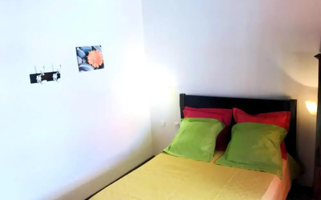 Feels1203 - T1 Duplex