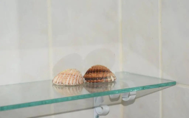 O DRAGOEIRO da Madalena!