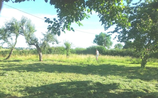 House With 4 Bedrooms in Vauban, With Enclosed Garden