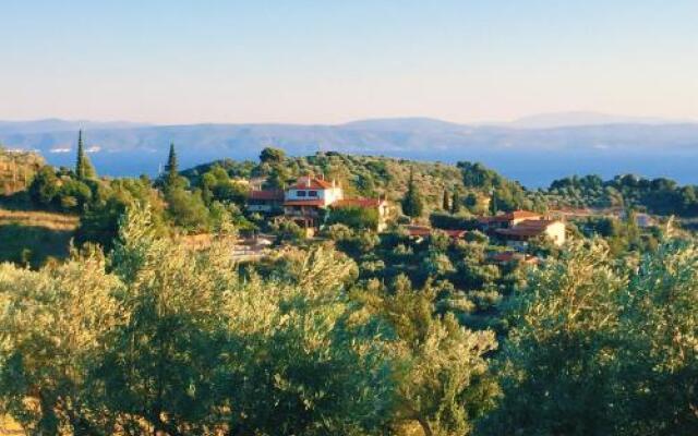 Vateri