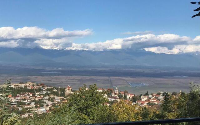 Family Hotel In Nukriani , 2km from Sighnaghi