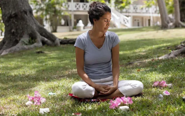 Bellevue Plantation & Polo Club