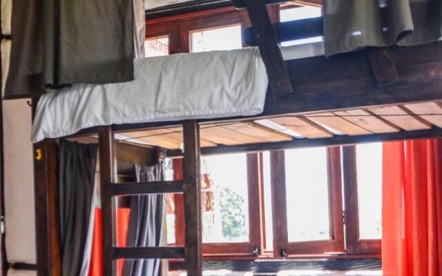 Coffee Tree Boutique Hostel