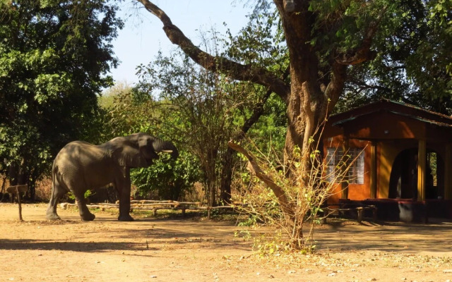 Zikomo Safari Camp