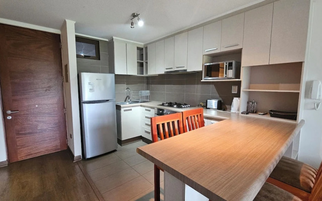 Oceana Suites Costa Pucón