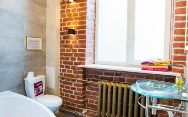 Lux apartment in the Center - Darvina str. 17/3