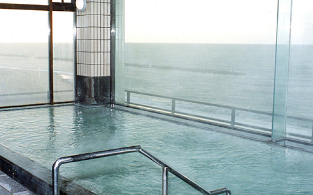 Senami Onsen Taiseisou