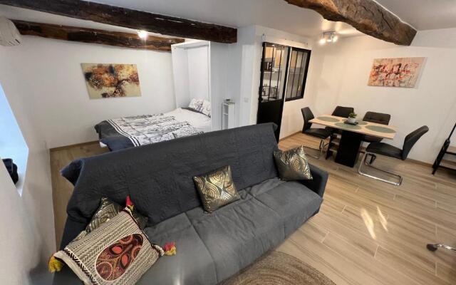 Très joli Loft de 40 m2 idéalement situé