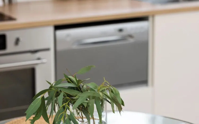 The Villas - Barossa