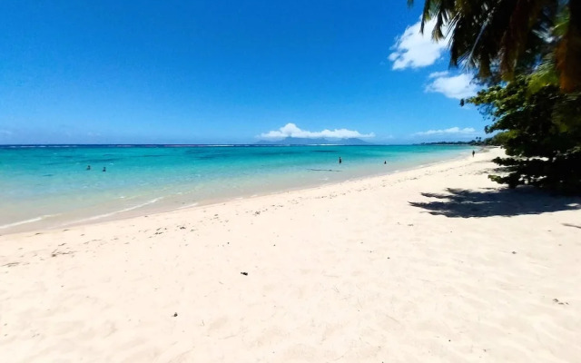 Tahiti - Fare Vainato Beach