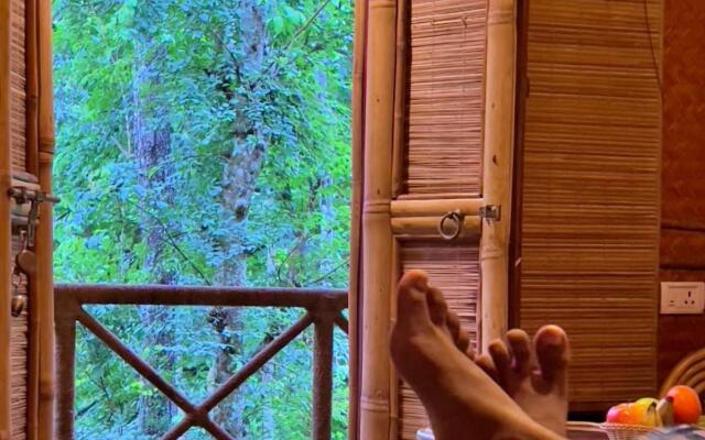 Adrak Mountain Mist Forest Resort