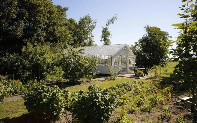 Stutteri Skandi Hest