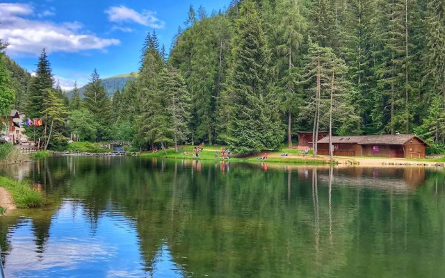 Regina del Bosco / Waldkönigin