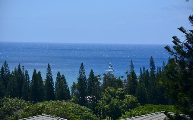 Kapalua Golf Villa 25v2 Gold Ocean View