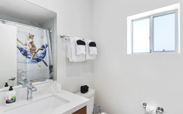 Modern Designer Studio with Pool