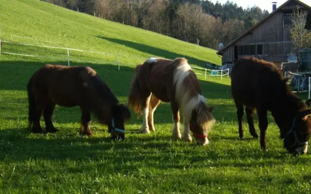 Ferienbauernhof Dur