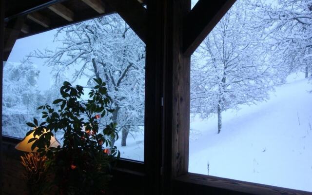 Chambres d'Hôtes Chalet De La Source