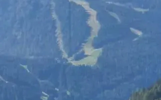 Residenza Sofia - Ponte di Legno fraz. Pezzo