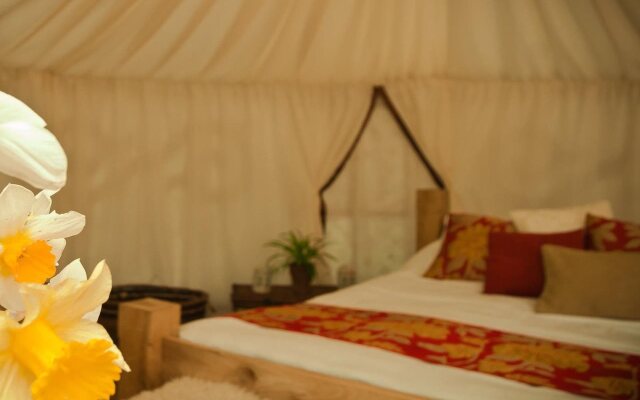 Plush Tents Glamping