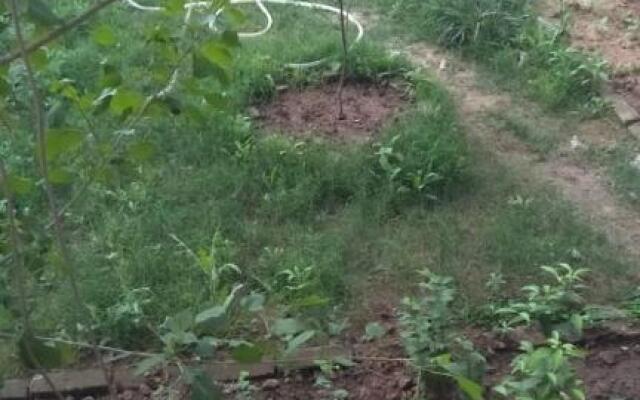 Green Life Guest House