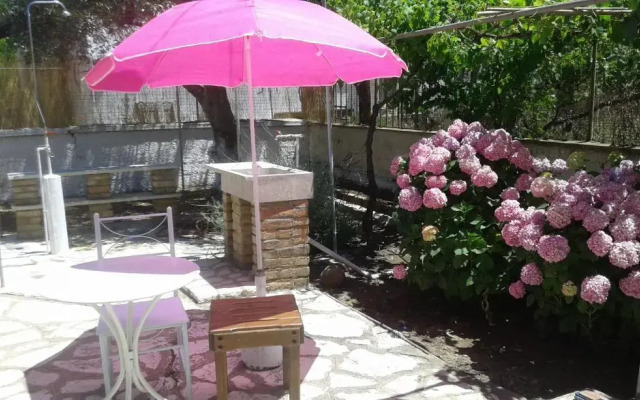 Lemon Garden
