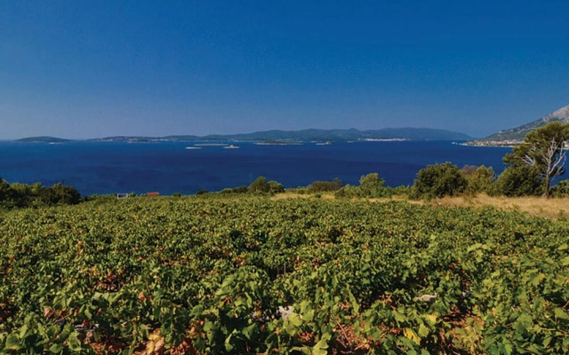 Awesome Home in Postup With Wifi and 5 Bedrooms