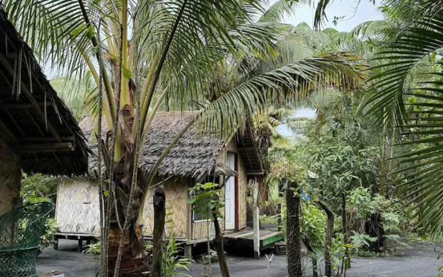 Jungle Oasis