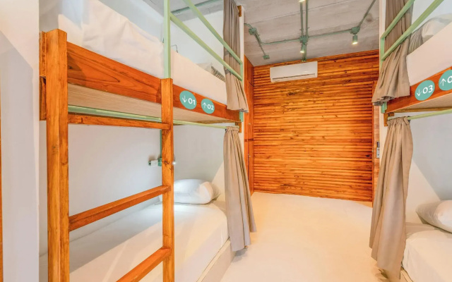 Mayan Monkey Isla Mujeres | Social Hotel