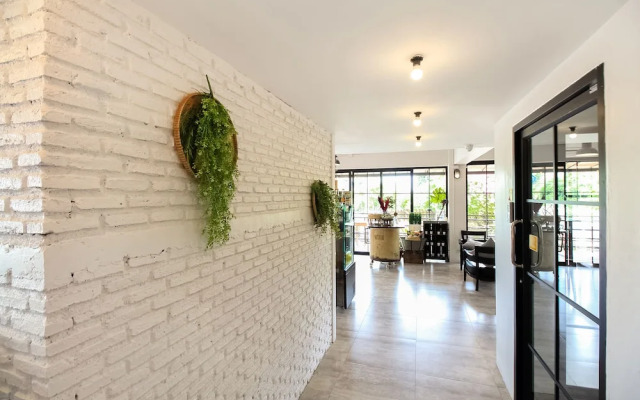 Puzzle DonMuang