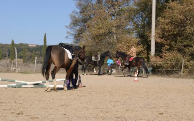 Farm Fattoria Le Planaie