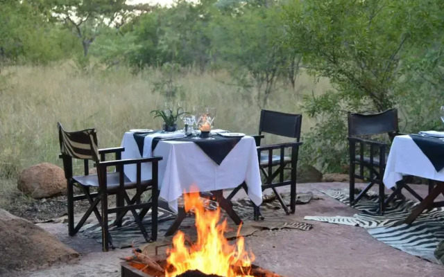 Wild & Free Game Lodge